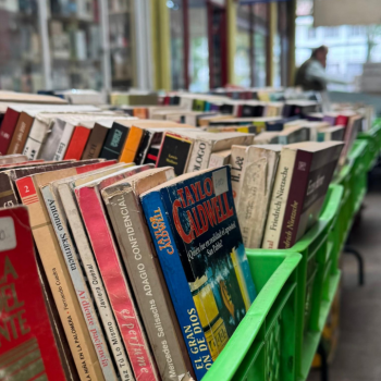 Feria de libros usados llega a Providencia con libreros de la galería Veneto