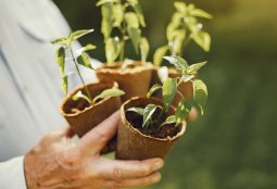 Huertos, compostaje y mucho más: únete al ciclo de talleres sustentables para vecinos +60
