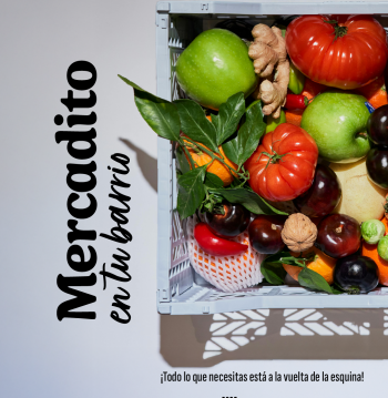 Microferias Libres (Mercadito en tu Barrio)