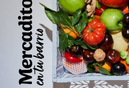 Microferias Libres (Mercadito en tu Barrio)