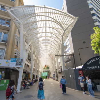 Se inician obras de mejoramiento en el entorno del Paseo las Palmas