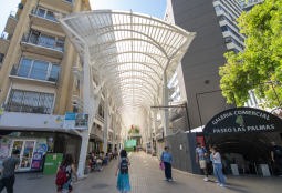 Se inician obras de mejoramiento en el entorno del Paseo las Palmas