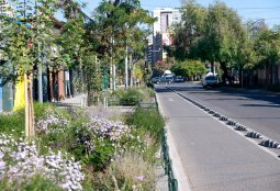 Calle Santa Isabel luce completa renovación urbana