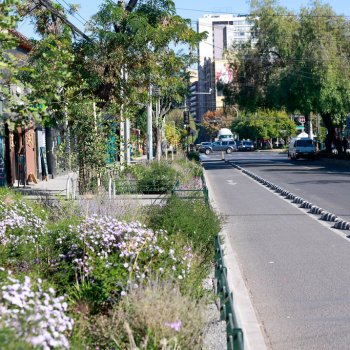 Calle Santa Isabel luce completa renovación urbana