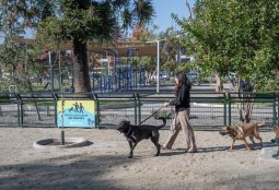 Plaza Río de Janeiro: ya está habilitada la remodelada zona canina