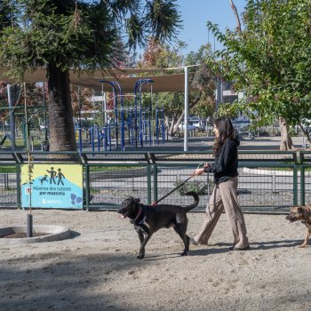Plaza Río de Janeiro: ya está habilitada la remodelada zona canina