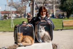 ¡Llegó junio! Revisa las fechas de los operativos veterinarios gratuitos