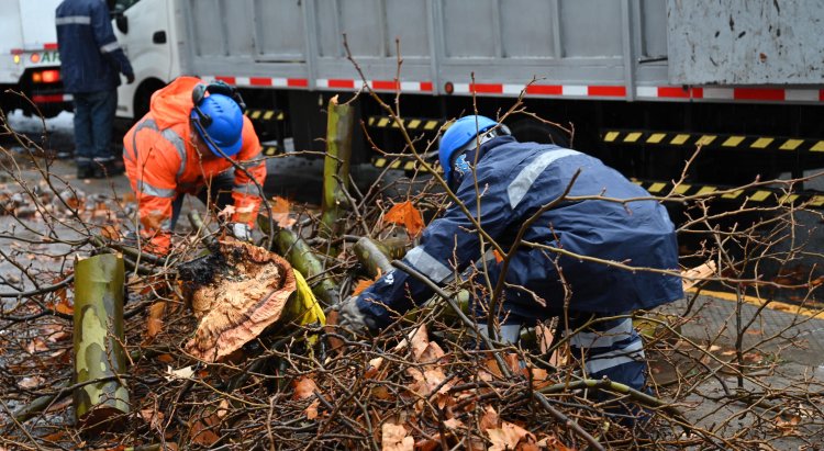 Ante la emergencia: Activa el modo invierno