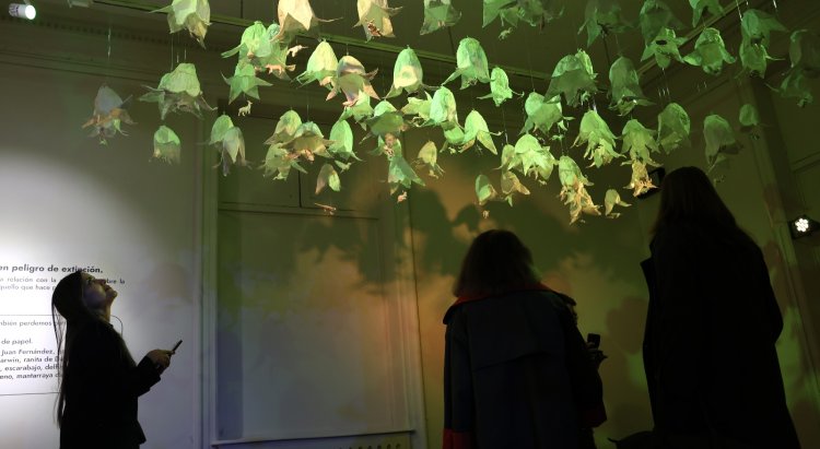 Exposición "El ciclo de dar y recibir"