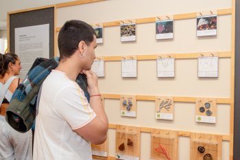 Exposición fotográfica “Bellavista: Raíces y Recuerdos”