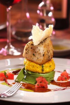 Cocina gourmet II