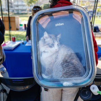 Conoce las fechas de los operativos veterinarios gratuitos de septiembre