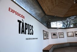 Exposición Tàpies