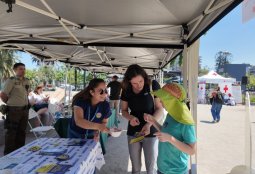 Te invitamos a la 10° versión de la Feria de Salud del CECOSF Andacollo