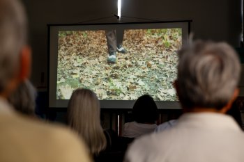 Ciclo de cine Terror en un pueblo tranquilo