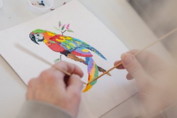 Mi primer libro ilustrado
