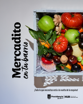 Micro Ferias libres (Mercadito en tu Barrio)