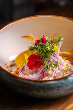 Cocina gourmet 2